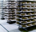 В производстве сыра нужно применять полипропиленовые полки