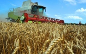 Каковы перспективы экспортных поставок зерновых из России