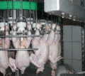 Оборудование по переработке мяса. Описание и технология обработки