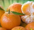 С 14 октября будет разрешен экспорт фруктов и цитрусовых из Грузии